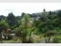 Excellent Family Home or Investment Property