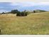 Lifestyle Property Moeraki