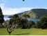 LAKE TARAWERA KIWI BACH