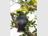 LAKE TARAWERA KIWI BACH