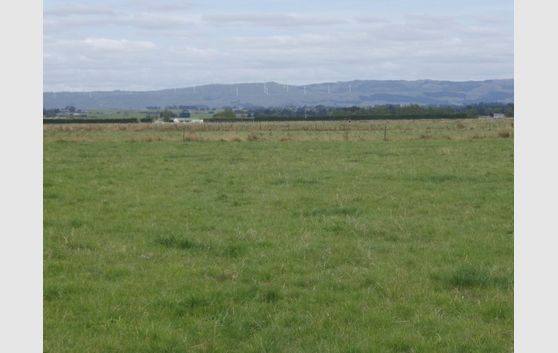 Flat with no covenants