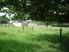 Cute, Comfortable and Affordable