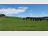 Kapiti Farm - offers close Wednesday 13 June 2012