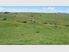 Kapiti Farm - offers close Wednesday 13 June 2012