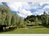 AN ABSOLUTE STUNNER - TE KOWHAI