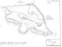 Kauri, Grazing, And Regenerating Native Bush