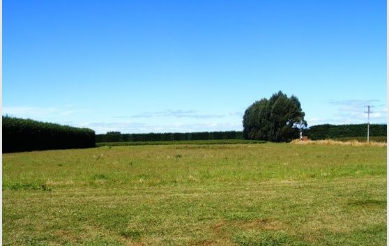 56 Swamp Road Motueka Tasman Nelson & Bays