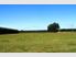 56 Swamp Road Motueka Tasman Nelson & Bays
