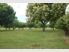 PRIVACY AND TREES