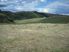GRAZING OR DAIRY RUN OFF