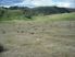 GRAZING OR DAIRY RUN OFF