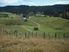 GRAZING OR DAIRY RUN OFF