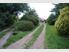 1.9 Ha (4 acres) Ideal Lifestyle Entry
