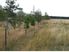 Middlemarch Bareland Block