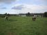 Lake Manuwai farmlet