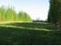Land with potential