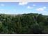 Lots of sun, and bush views