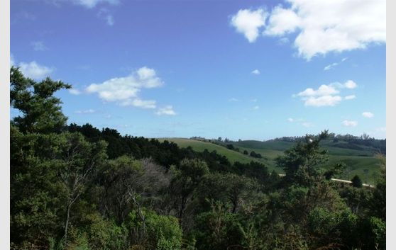 Lots of sun, and bush views