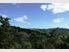 Lots of sun, and bush views