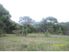 50 acres with water access!