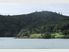 50 acres with water access!