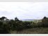 50 acres with water access!