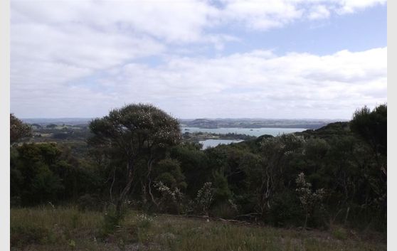 50 acres with water access!