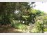 Kerikeri Coastal Lifestyle Farm