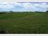 Kerikeri Coastal Lifestyle Farm