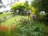 Idyllic Rural Setting