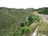 Forestry Investment Bay of Plenty