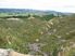 Forestry Investment Bay of Plenty