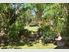 Bush! Privacy! Grazing!