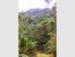 A Little Slice of Kiwi - $220,000