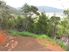 A Little Slice of Kiwi - $220,000