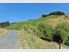 Bare Land With Options Aplenty