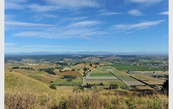 Bare Land With Options Aplenty