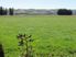 Outstanding Executive 42.7Ha finishing farm