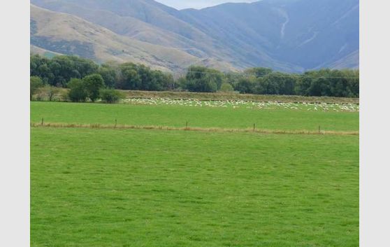 Rare Property in Athol