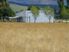 Rare Property in Athol