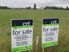 Two Large Totara Bareland Blocks