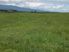 Coastal Grazing Hokitika