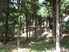 Forest Block. Lot 3, Pine Farm 69