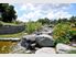 Established Home & Large Parcel of Land