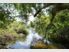 Established Home & Large Parcel of Land
