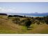 WAIPU COVE - CULLEN RD CRACKER