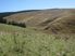 FUCHSIA CREEK - Small Farm 42ha (103acres)