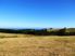 Lifestyle block 4.75 acres with coastal & rural views