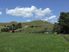 Valley Road Farmlet