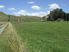 Valley Road Farmlet